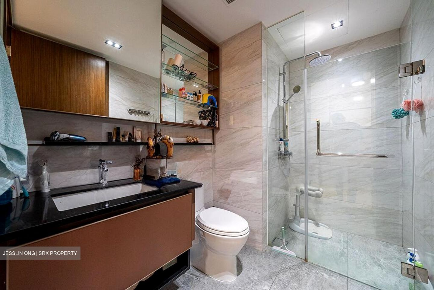 Normanton Park (D5), Apartment #576121581